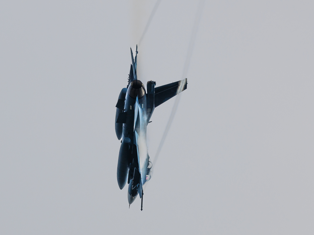 鉄の鳥