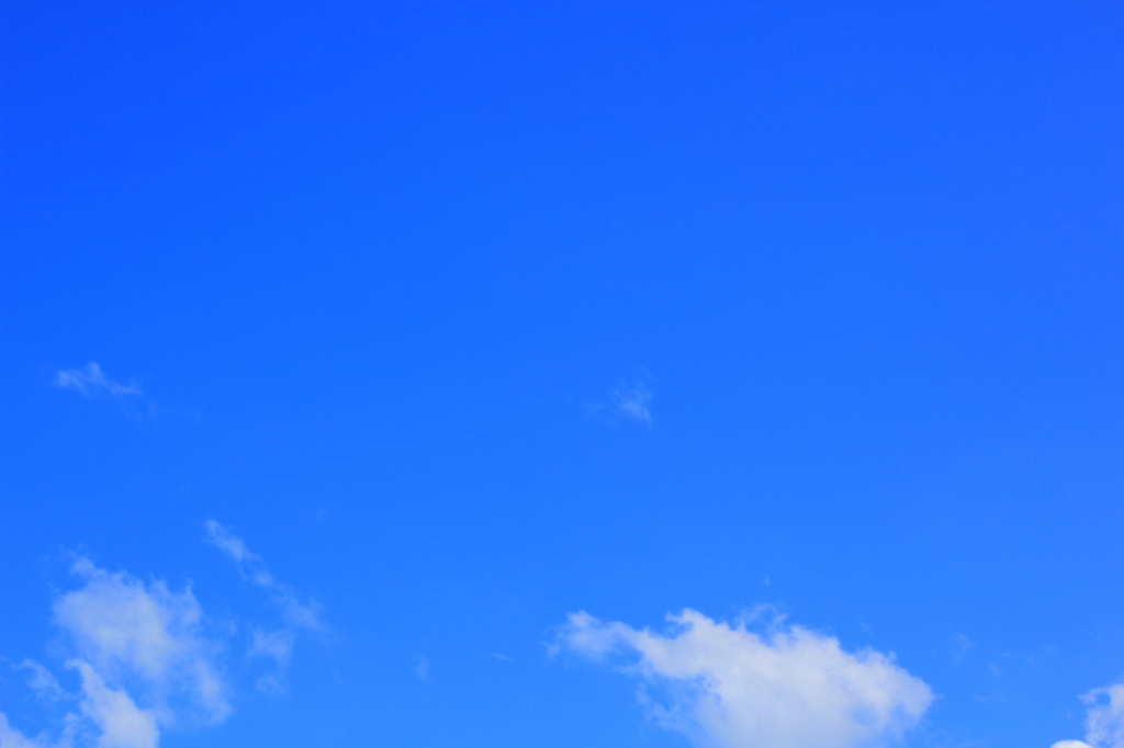いきなり夏
