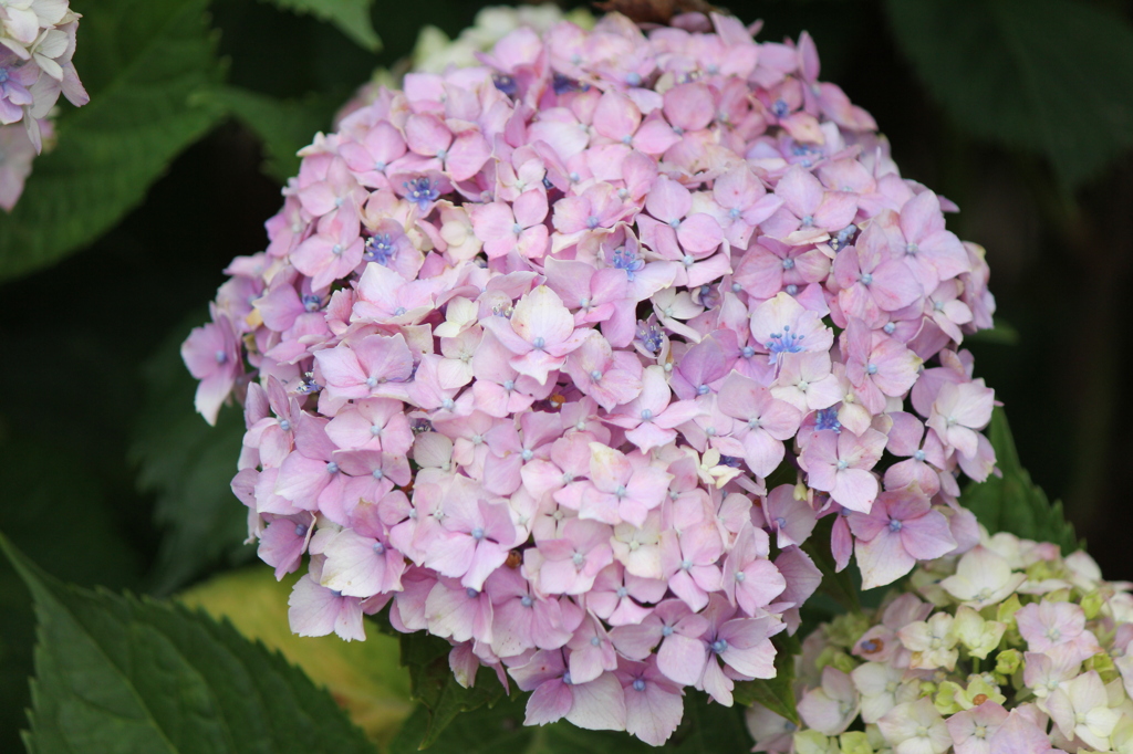 私だけを静かに...