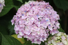 私だけを静かに...