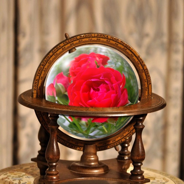 ふっ┐(-。ー;)┌