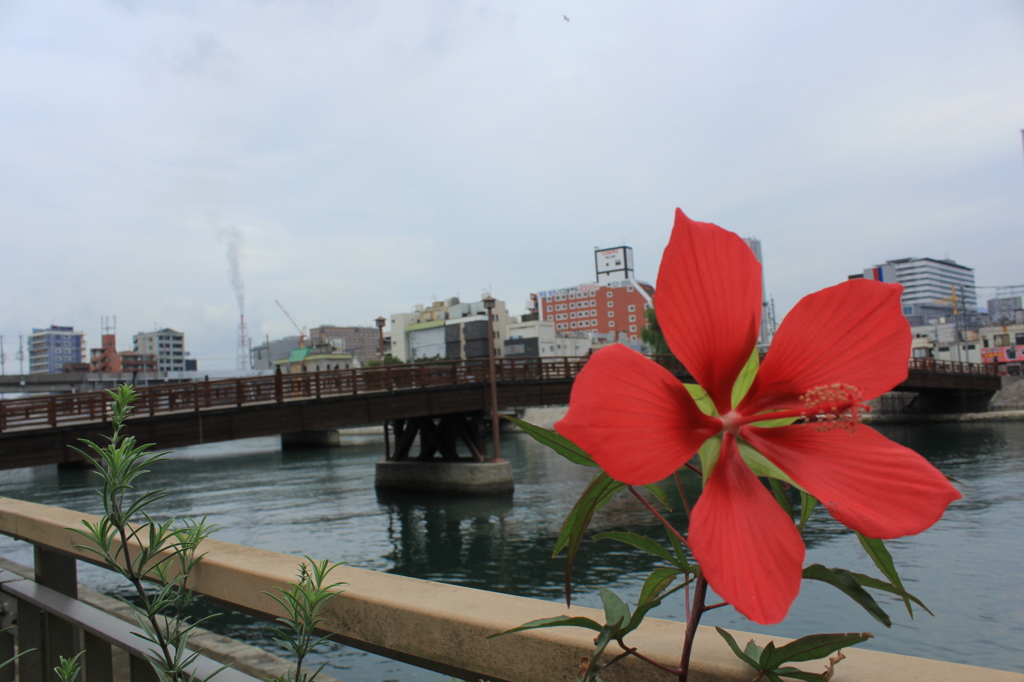 花と常盤橋