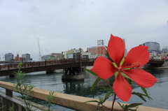 花と常盤橋