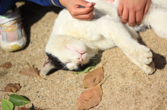 幸せタイム