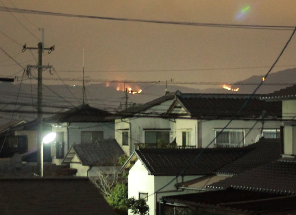 平尾台の野焼