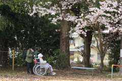 寄り添う