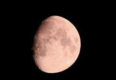 今夜の月