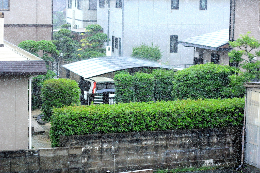 梅雨末期の雨