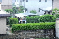 梅雨末期の雨