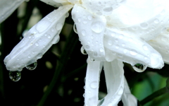 雨滴