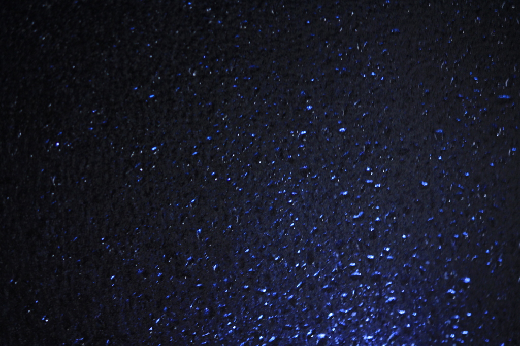 遠目に見てね♪