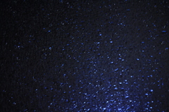 遠目に見てね♪