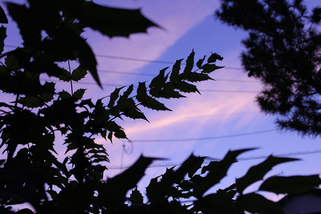 反省を込めて...