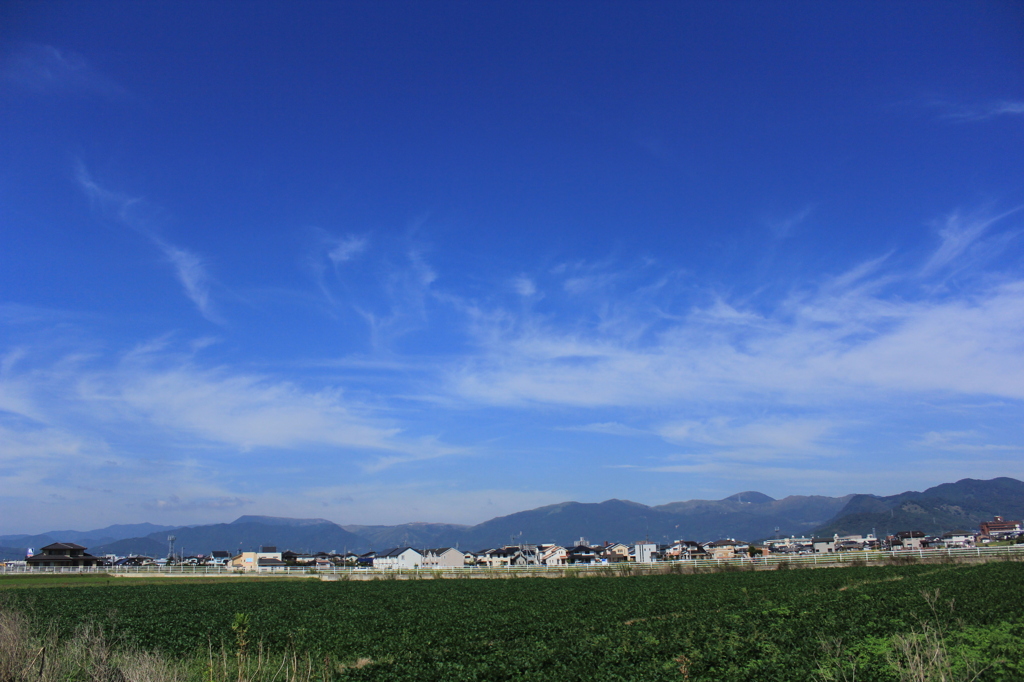 秋の平尾台
