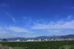 秋の平尾台