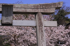 神主様のお住まい