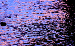 映る