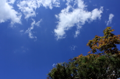 夏ですね～