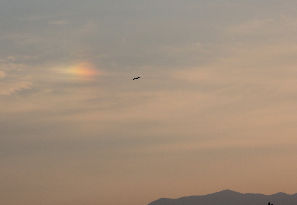  ブロッケン現象？（幻日と言うらしい）