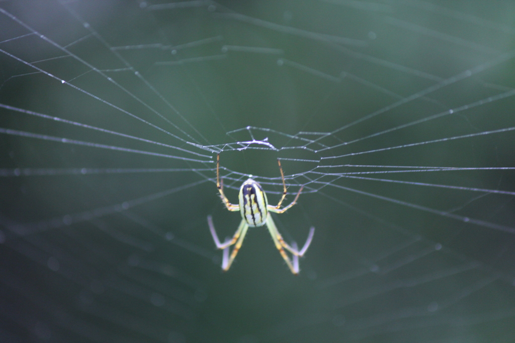 苦手な方ごめんなさい