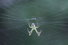 苦手な方ごめんなさい