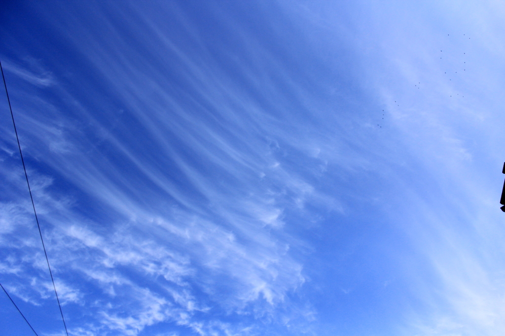 空模様