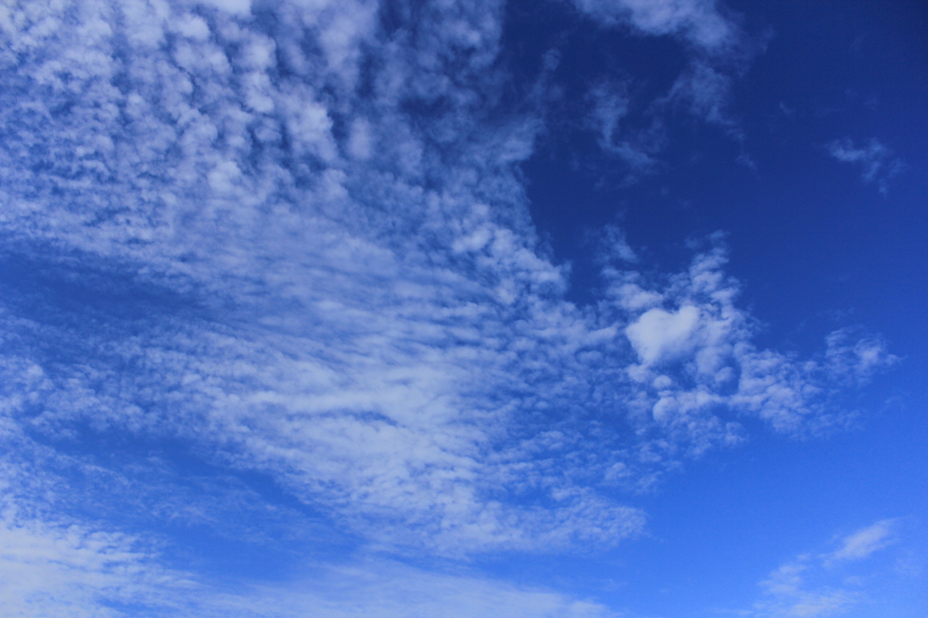 空を見上げて
