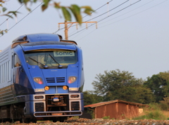 夕陽に照らされ駆け抜ける