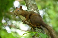 ちょいと一休み