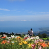 箱館山ゆり園（その９）