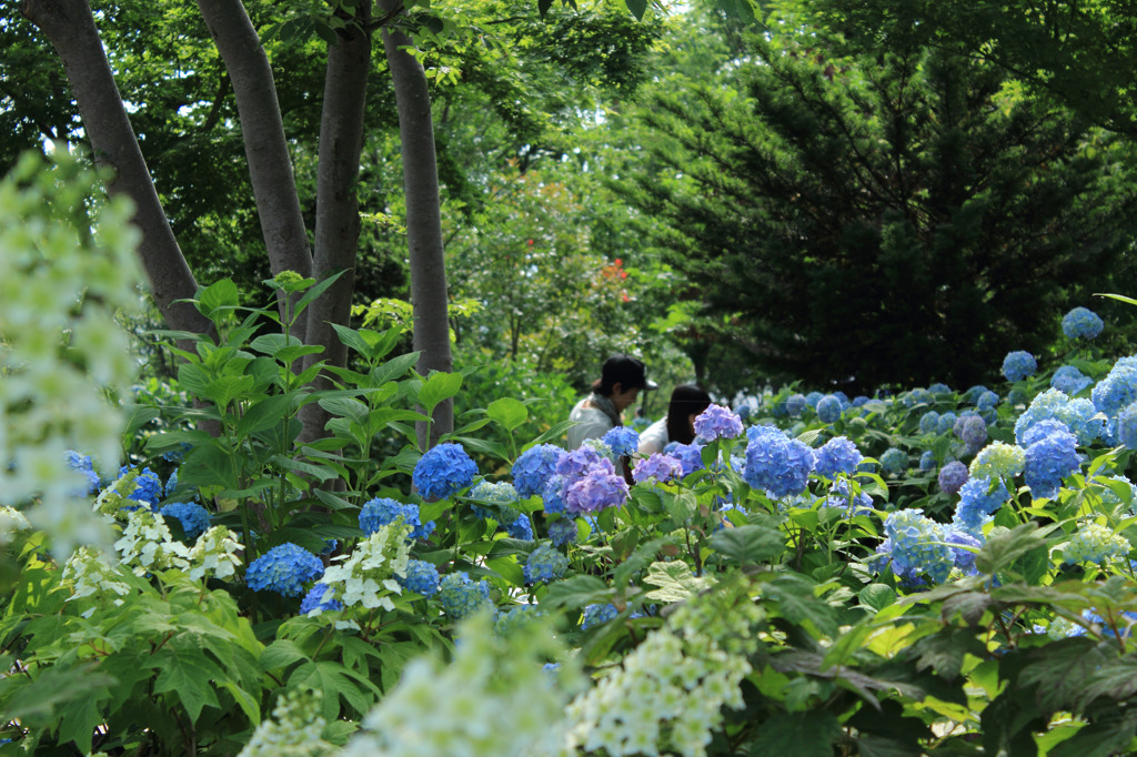 もりやま芦刈園（その８）