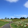 箱館山ゆり園（その６）