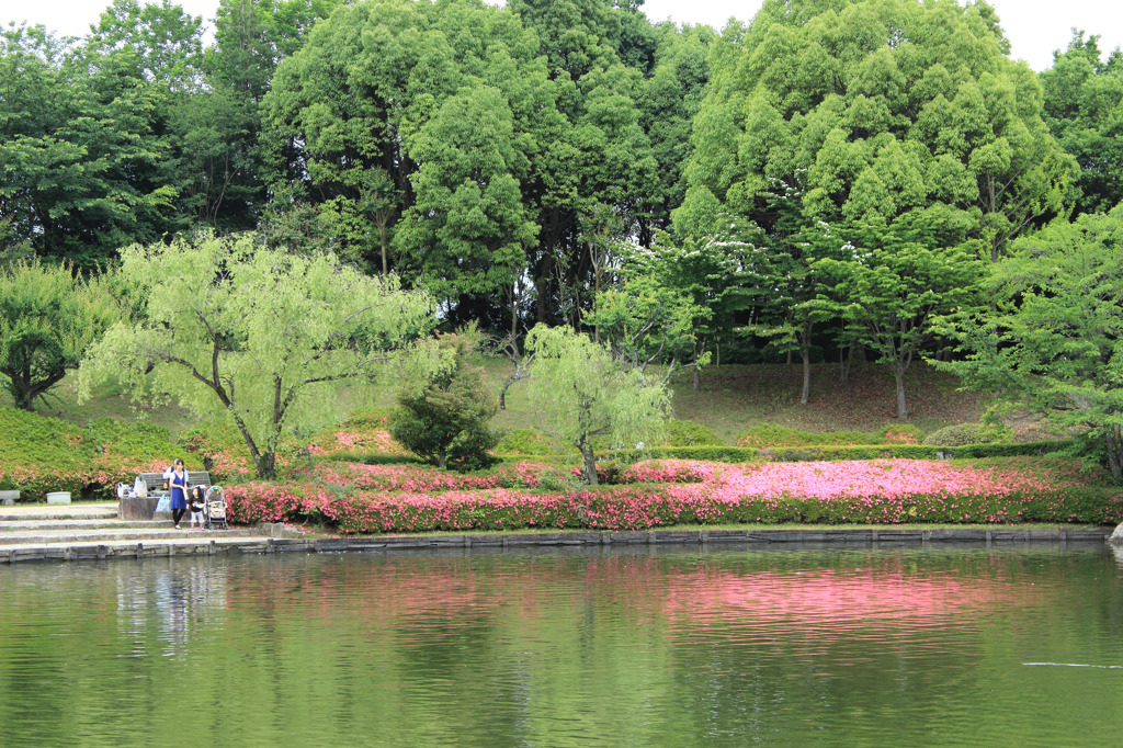 びわこ文化公園（その１）