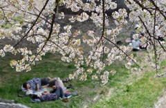 二人と花