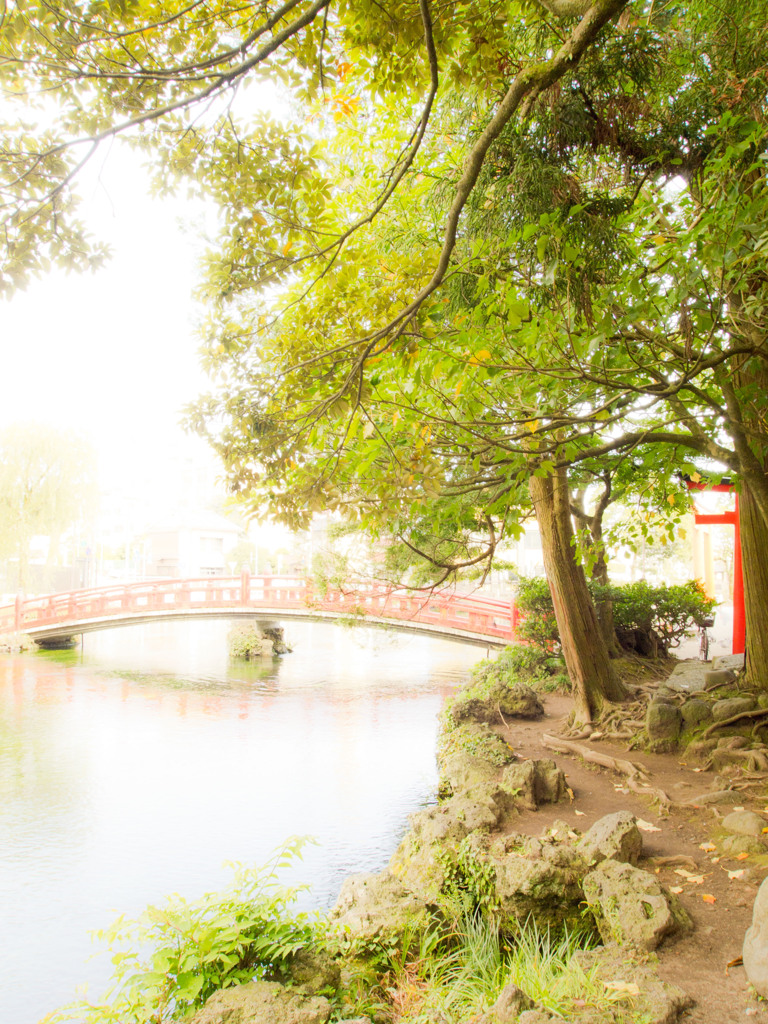 橋のある風景
