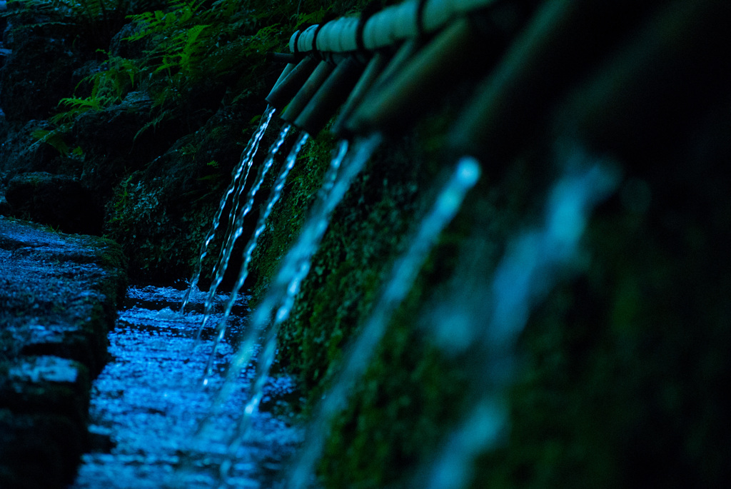 水辺