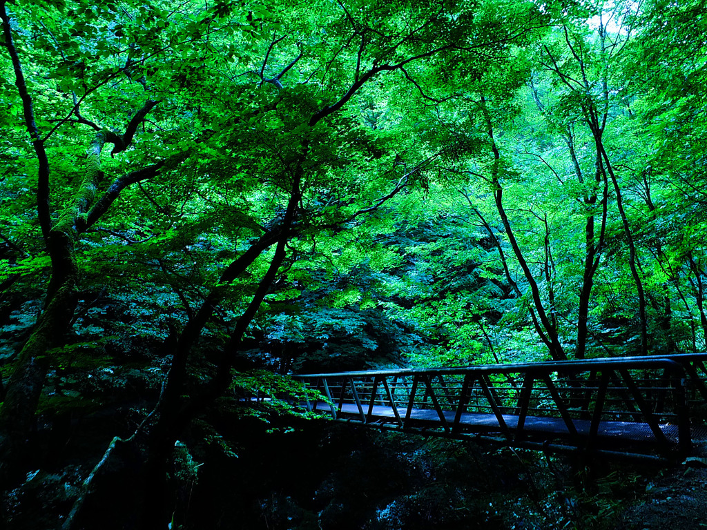 橋のある風景