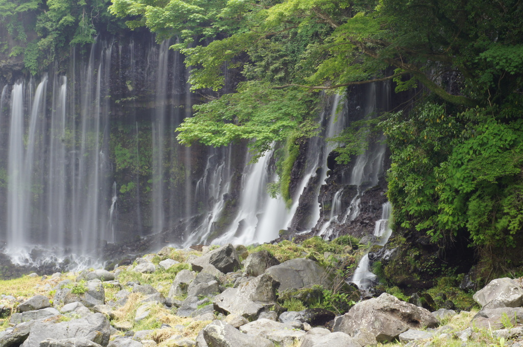白糸の滝