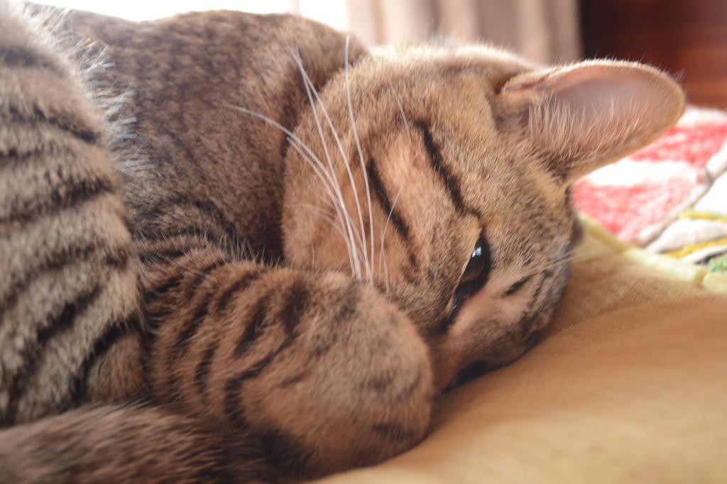 眠る前の考え事