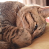 眠る前の考え事