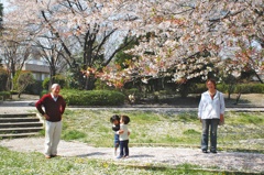 桜の木の下でキミに出会った