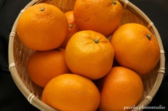 箱買い！