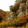 岩の竜