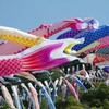 色彩の波