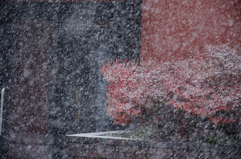 雪　２