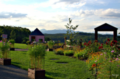 ウェルカムガーデン