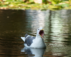 ビックリ２