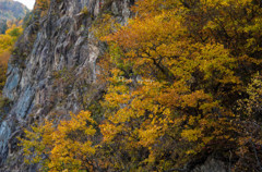 紅葉と崖