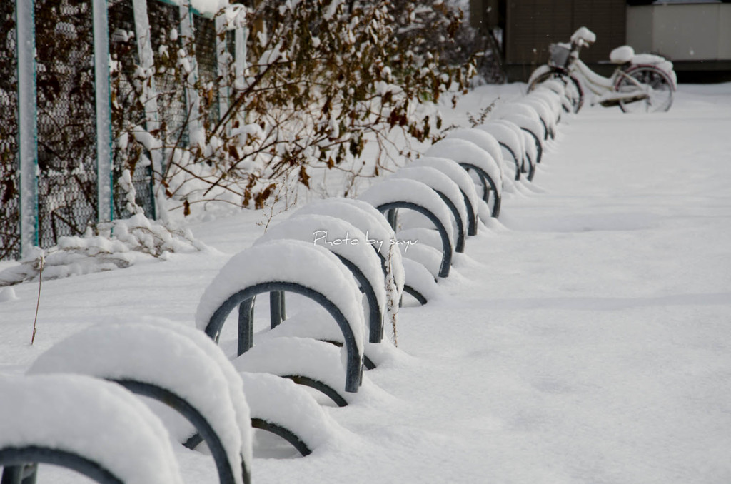 積雪2