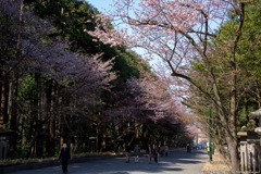 参道